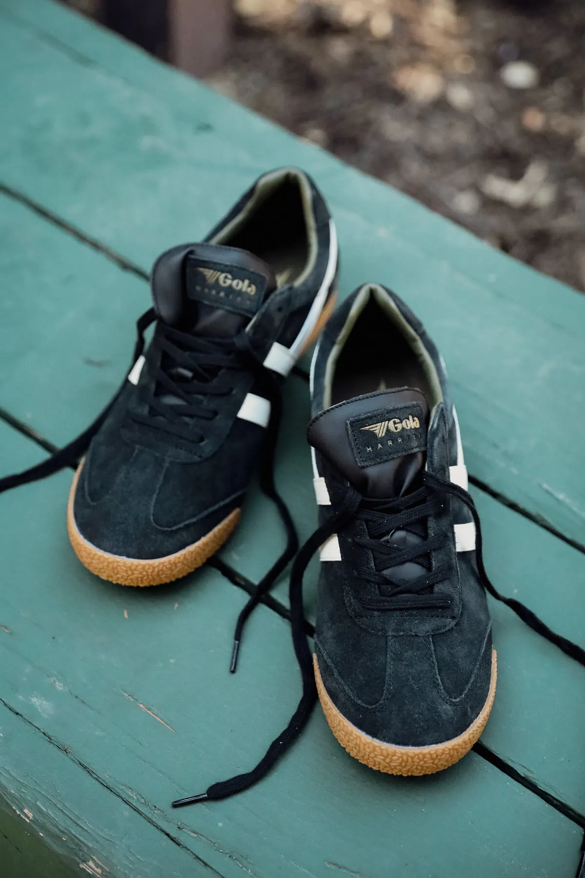 Harrier Suede Shoe