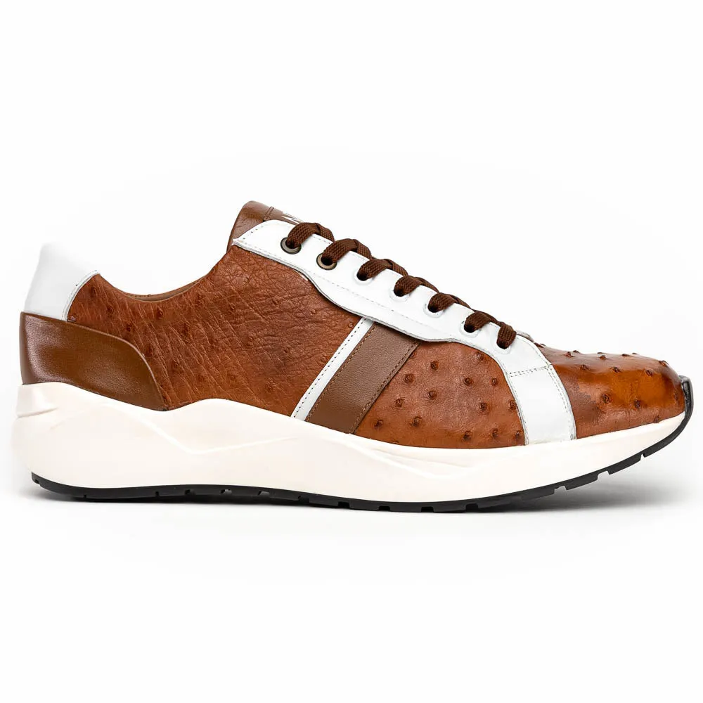 Lyon II - Brandy/White